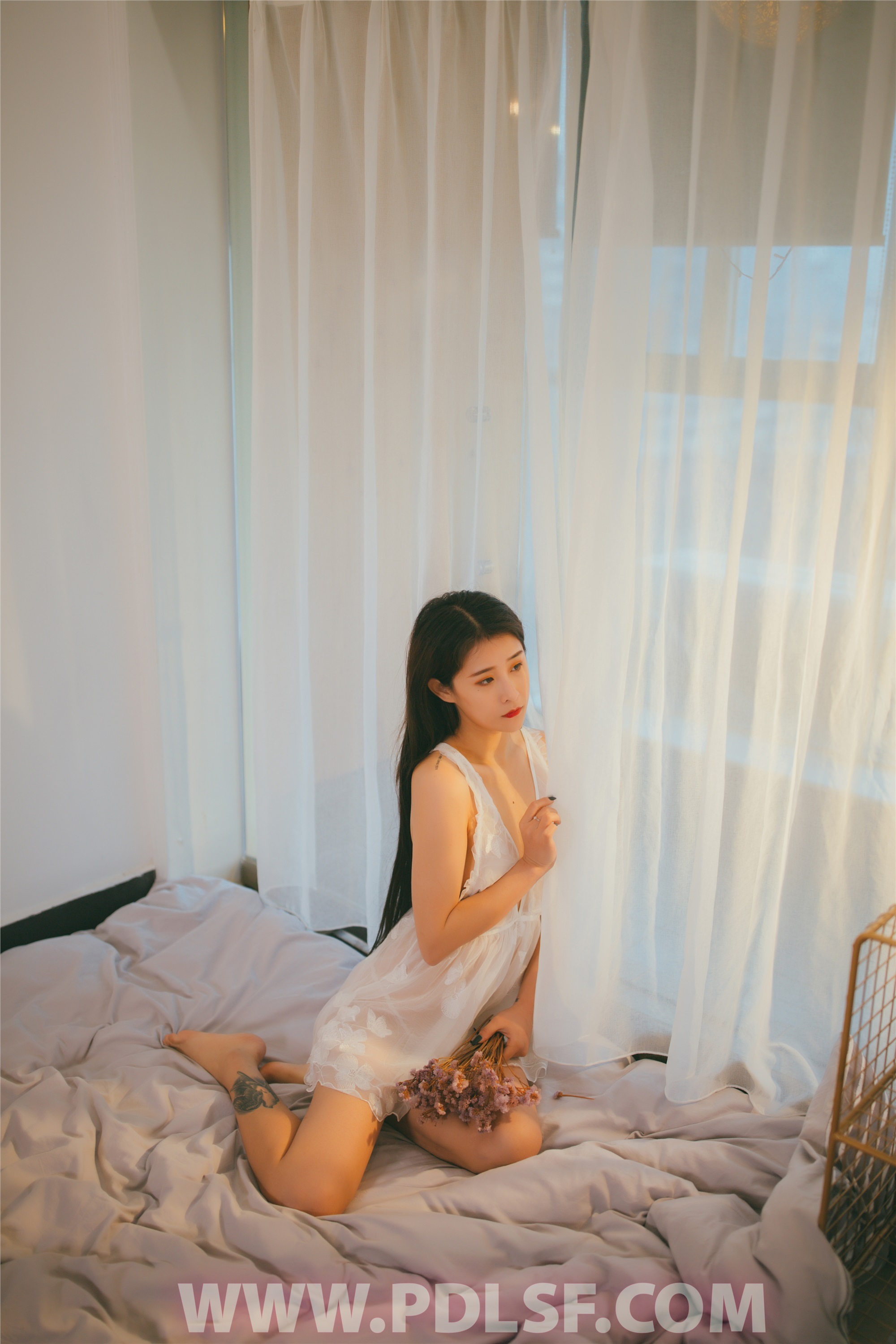 PDL潘多拉 2019.12.26 专辑No.258